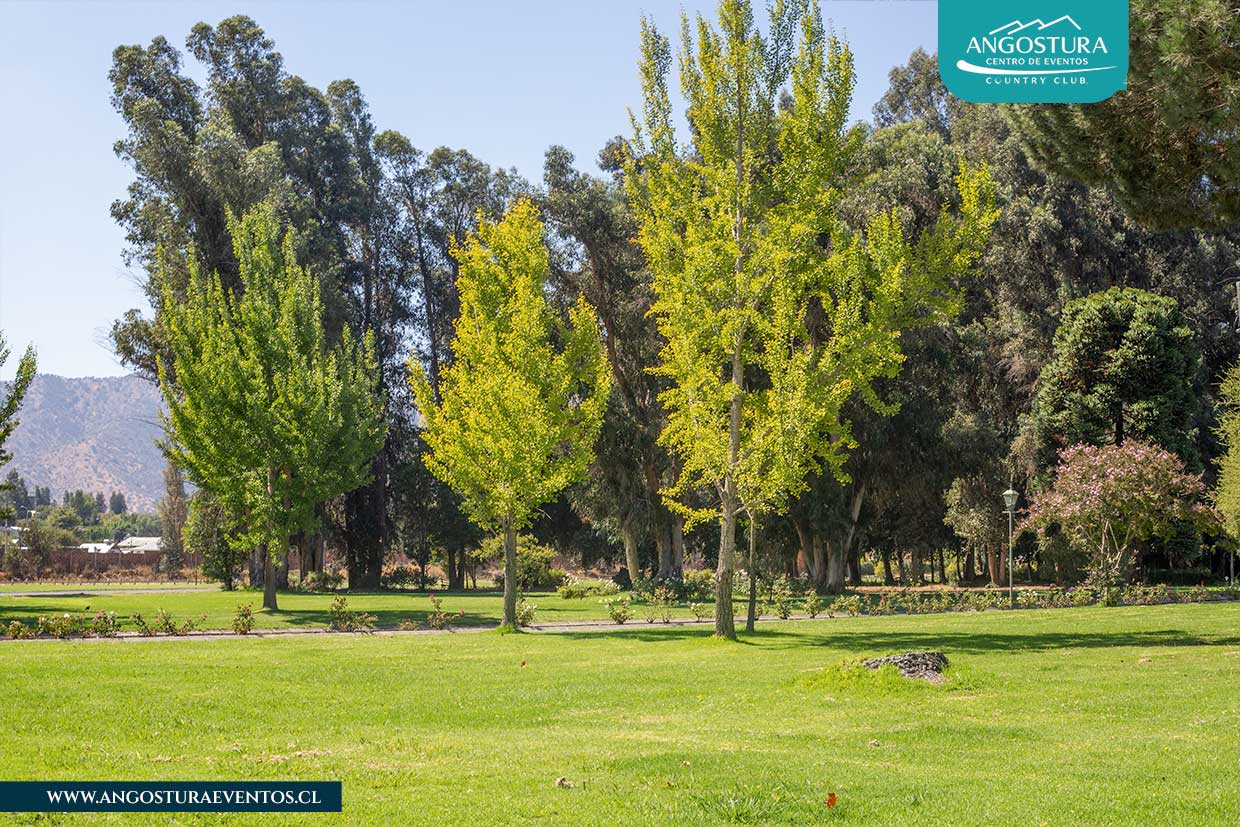 angostura-eventos-jardines-8