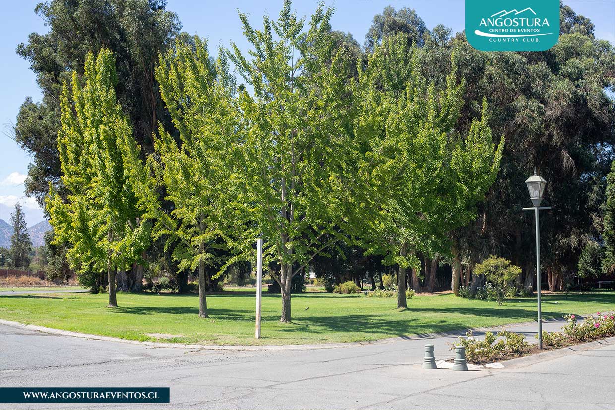 angostura-eventos-jardines-9